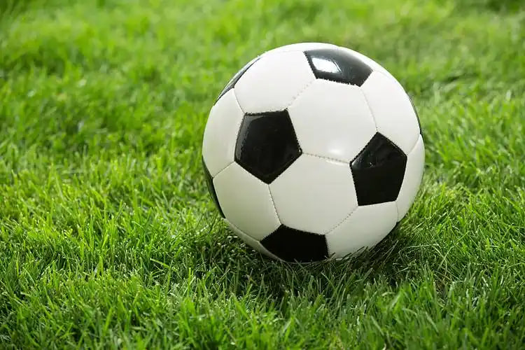 篮球比分90vs多平台下载